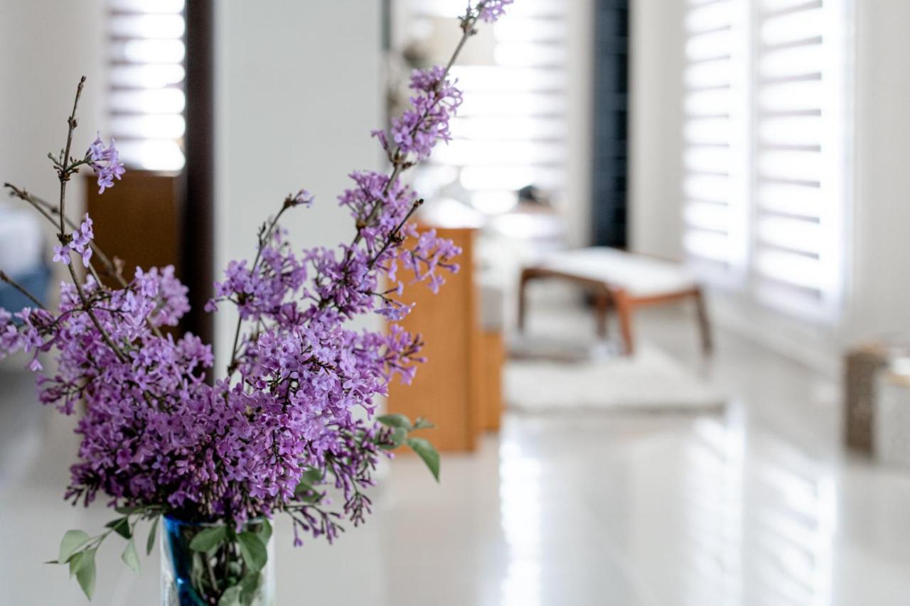 Veria Panorama Luxury Suite With Garden. Veria (Imathia) Exterior foto
