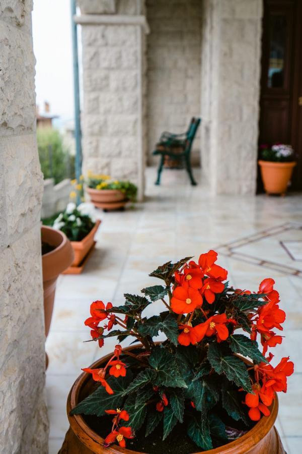 Veria Panorama Luxury Suite With Garden. Veria (Imathia) Exterior foto